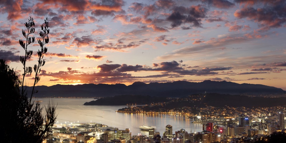 Wellington City dawn panorama